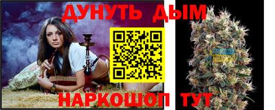 гидра Кингисепп