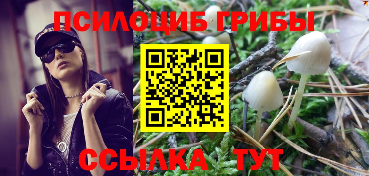 Псилоцибиновые грибы ЛСД  Вход с VPN  Псилоцибиновые грибы прущие грибы  Барабинск 