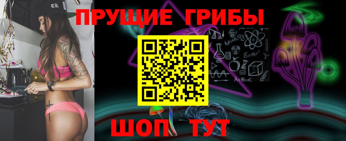 Псилоцибиновые грибы мицелий Барабинск